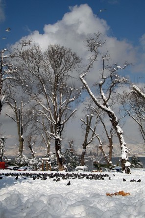 4 Mevsim Kocaeli Fotoğraf Yarışması 1