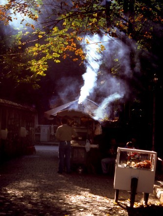 4 Mevsim Kocaeli Fotoğraf Yarışması 1