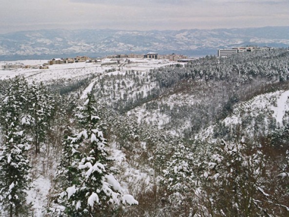 4 Mevsim Kocaeli Fotoğraf Yarışması 2