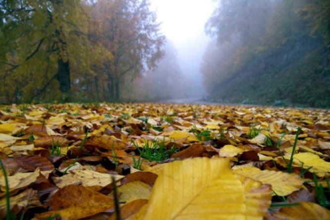 4 Mevsim Kocaeli Fotoğraf Yarışması 2