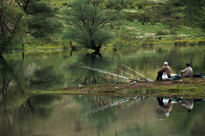 4 Mevsim Kocaeli Fotoğraf Yarışması 3