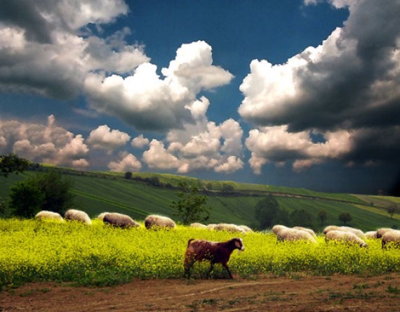 4 Mevsim Kocaeli Fotoğraf Yarışması 4