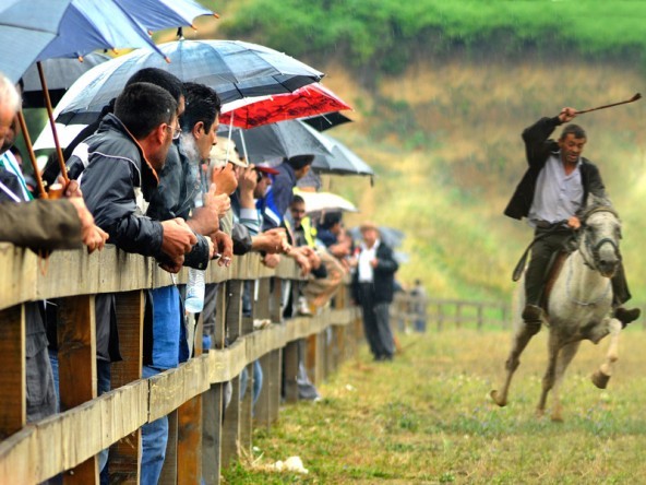 4 Mevsim Kocaeli Fotoğraf Yarışması 6