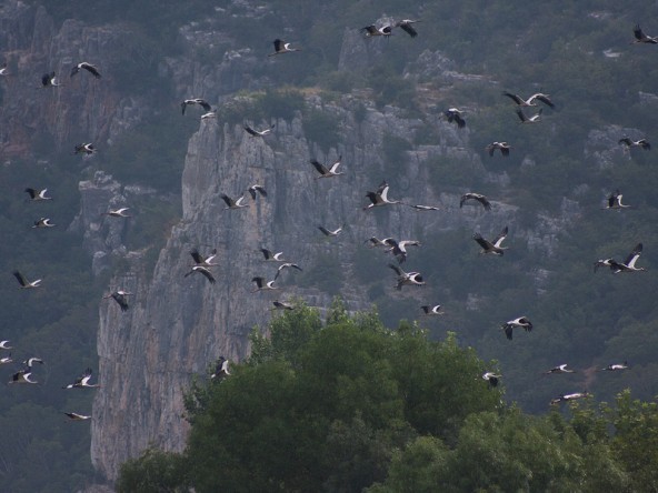 4 Mevsim Kocaeli Fotoğraf Yarışması 6