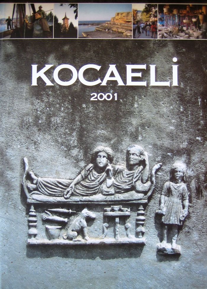 KOCAELİ 2001