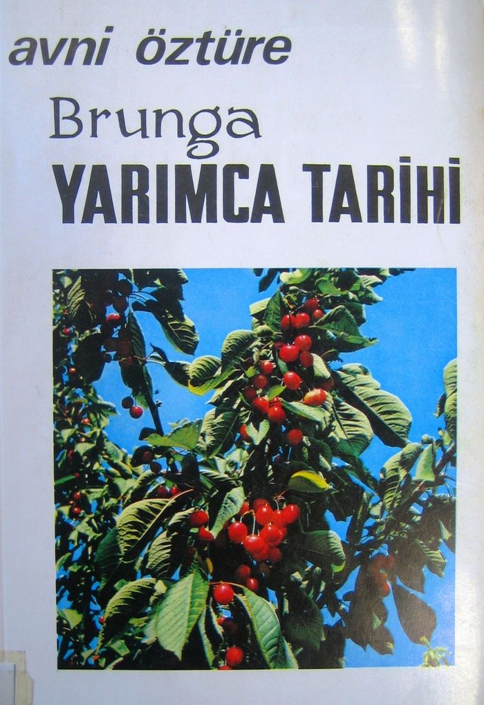 BRUNGA-YARIMCA TARİHİ